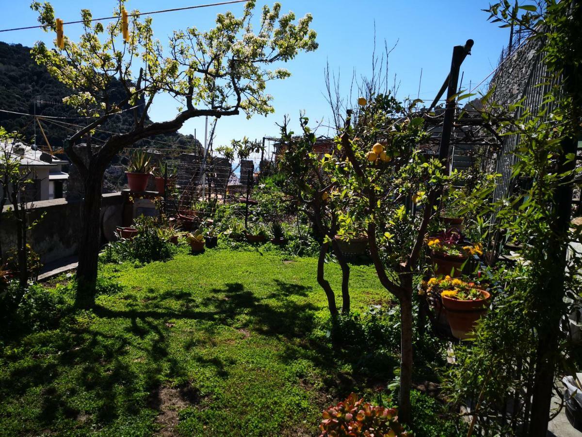 Villa Il Nido Dei Gabbiani à Porto Venere Extérieur photo